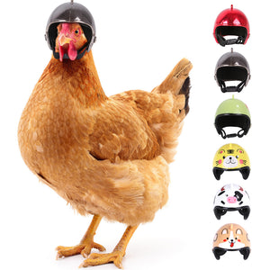 Pet Chicken Helmet Small Pet Poultry Bird Duck Headgear Hat Caps Head Protector Bird Head Helmet Pet Supplies 1 PCS New Arrival